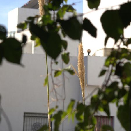 Residence Sterne Hammam al Ghazzaz Екстер'єр фото